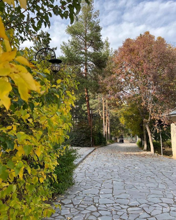 Ripa Hotel Tsaghkadzor Exterior foto